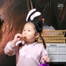 로로캠핑 이미지
