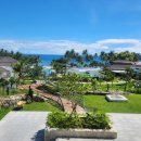 엠팜 | 보홀 사우스팜 엠갤러리 리조트, 오셔니카 팡라오 리조트