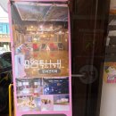 독특하개 | [독특하개]신림역 강아지카페-실내데이트
