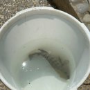아임푸룻 | [2023.08 대가족발리] 파드마우붓 애니멀가든/밤부네스트