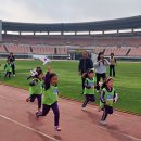 천연잔디구장 네이버블로그