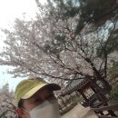 원신공원 이미지