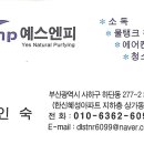 예스엔피