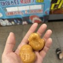 명과삐오꼬 이미지
