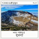 동경자동차정비 | 한라산 성판악 코스 소요시간 총정리｜겨울 등반 왕복 12시간 실제 후기