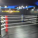 국제체육관복싱무에타이MMA주짓수