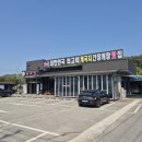 태안 강아지 동반 당일치기 여행_네이처월드, 수미정, 할미할아비바위, 안면암