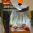 하이!멍 | 부산애견카페 추천! 2000평 규모 하이멍 애견운동장 후기