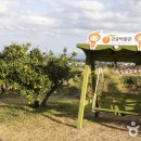 감귤박물관 이미지