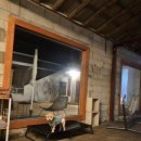 송림315 | 강릉독채애견펜션 송림315 내돈내산 강원도개별정원숙소