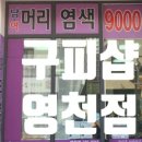 구피샵 영천점 네이버블로그