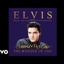 The Wonder Of You(Elvis Presley) 이미지