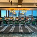 도미디 피트니스 이미지