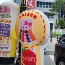 샤인머스캣 탕후루 못참지... 왕가탕후루 처음 먹어본 후기