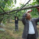 김정태 농장 이미지