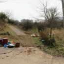 GS25 건너편 이미지