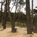 탈해왕릉 이미지