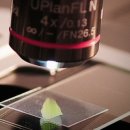 주식회사 우정바이오 이미지