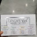 뉴에스틴 이미지