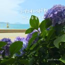저구해안길 | 바다와 수국이 만나는 여름 여행지 거제 저구 수국동산