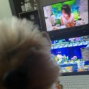 털뭉탱이 이미지