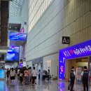 푸치베베 | [베페 베이비페어] 48회 베페 베이비페어 방문 솔직 후기, 선착순 꿀팁, 이벤트 참여