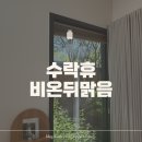 (주)하늘마음바이오 | 서울 자연휴양림 | 수락휴 독채 4인실 비온뒤맑음 후기 (예약방법)