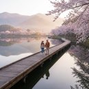 보부상길 (영랑수산) | 🔥속초 벚꽃, 지금 놓치면 1년 후회할 역대급 명당 5!