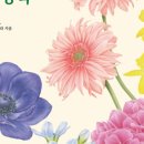 보태니컬 아트(기초) 이미지
