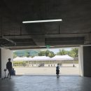 상하초교 앞 삼거리 횡단보도(공원 쪽) | 천안삼거리공원 아이랑 다녀온 후기 (어린이날 전에 미리 가봤어요, 주차·물놀이 주의)