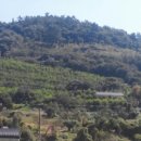 월하농장 이미지