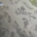 진성환경 이미지