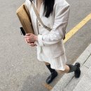 사족보행 이미지