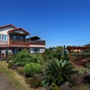 온평동로 이미지