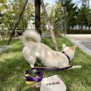 이씨네복덕방 이미지