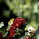 성보공인중개사사무소 이미지