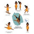 다양한 사회적 생활인프라망과 유사한 뇌구조 이미지