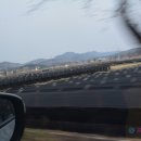 홍삼약초인삼사