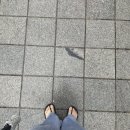 한해의 절반을 보내며 ...