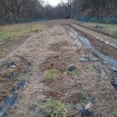 터골농장 이미지