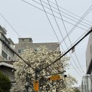 팔도비빔밥 | 맛집 <팔도곳간> 가브리살 수육, 김치찜 정식 후기(밥도둑 정식, 비빔밥 코너 무료, 소주 3900원 가성비)