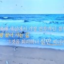 캐일리 이미지