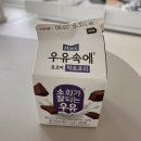 해비치동물병원 | #8. (임신 16~19주차) 드디어 알게된 성별, 젠더리빌, 제주도 태교여행, 첫 태동