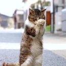 디오피부과의원 이미지