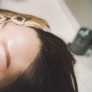 가온미의원 이미지