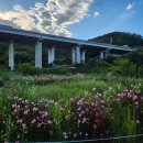 달음산옥 | 2024.05.28 기장 달음산 옥정사코스