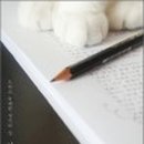 브론테하우스