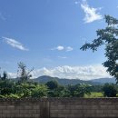 팜비치모텔 이미지