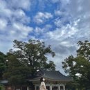 삽교역로 이미지