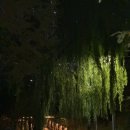 미트랑전주본점 이미지